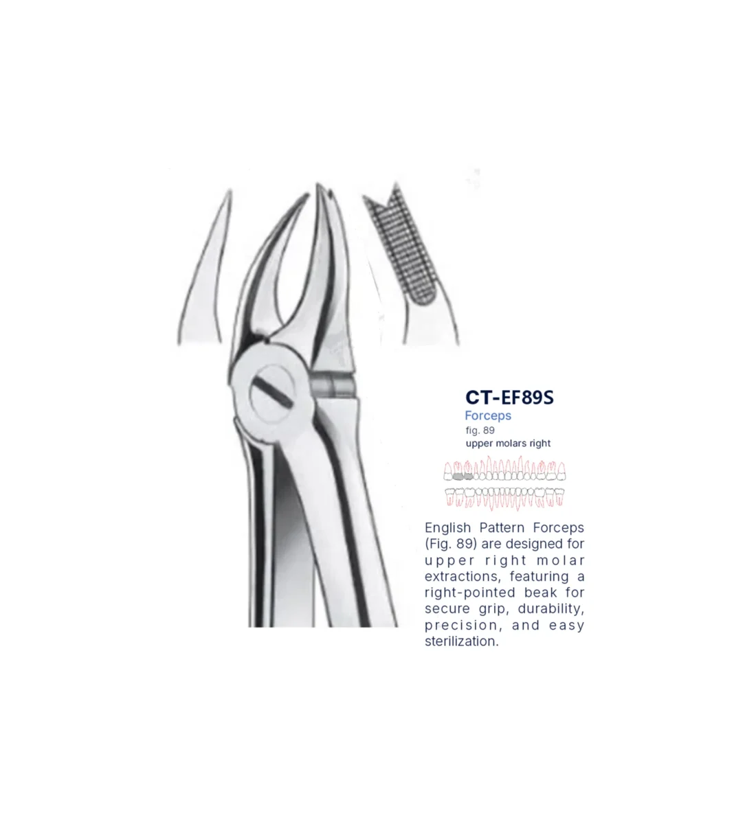 Extraction Forcep fig. 89 with standard handle